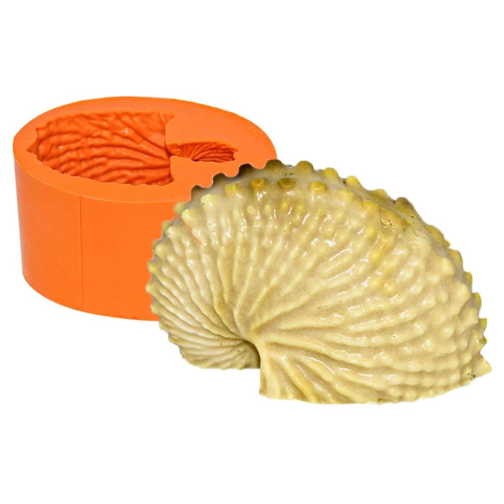 Molde de silicone Argonauta