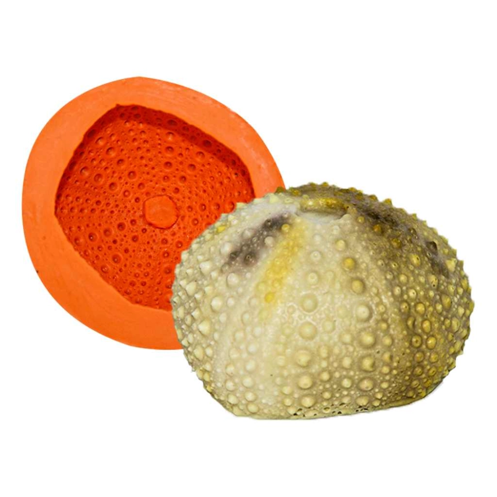 Molde de silicone Ouriço do Mar